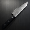 Sharpedge Tojiro Santoku DP Damascus 170mm (6.7")